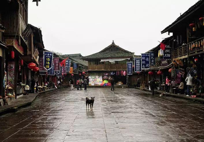 骆宾王7岁写《咏鹅》,聪明绝顶却怀才不遇,讨武失败后下落不明